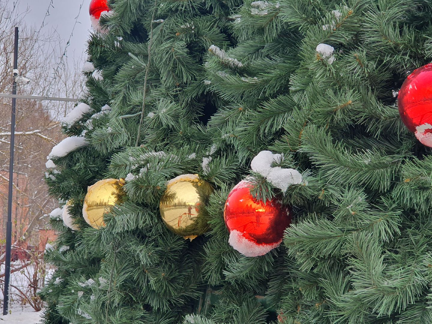 вертикалки, новогодняя елка, украшение города к новому году,