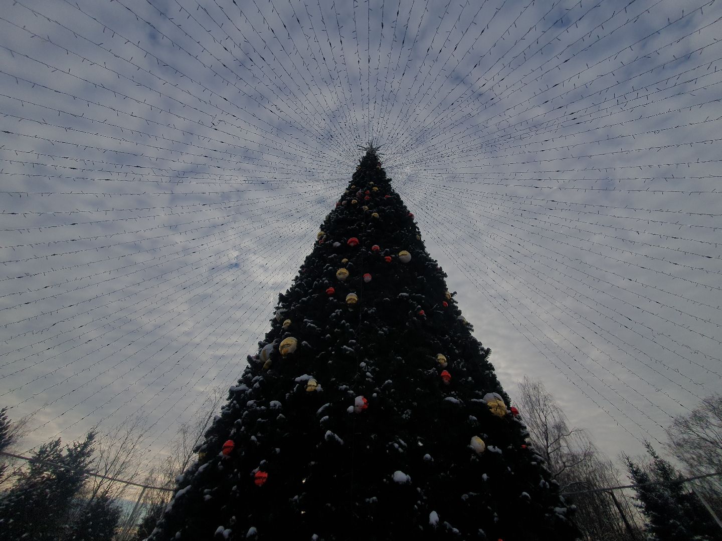 вертикалки, новогодняя елка, украшение города к новому году,