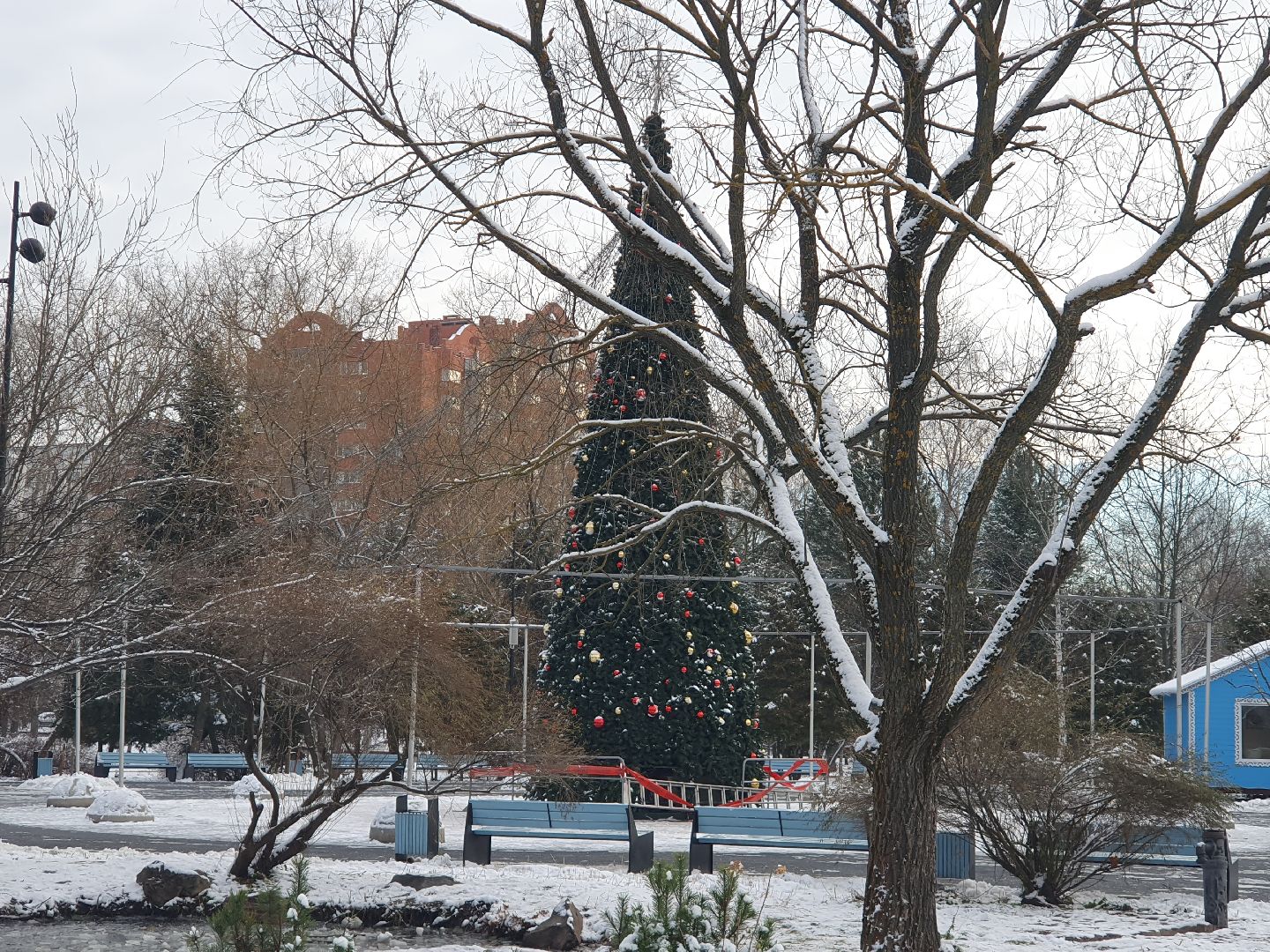 вертикалки, новогодняя елка, украшение города к новому году,