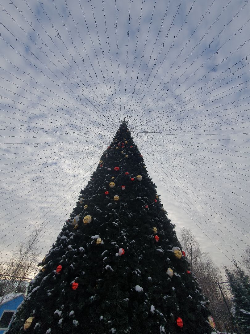 вертикалки, новогодняя елка, украшение города к новому году,