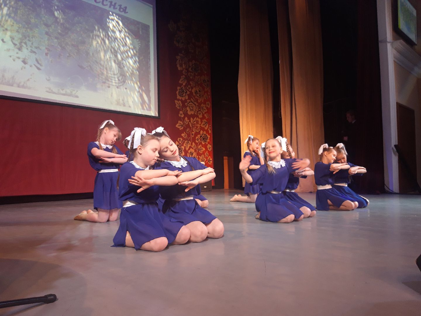 концерт, искусство, знаменитости,