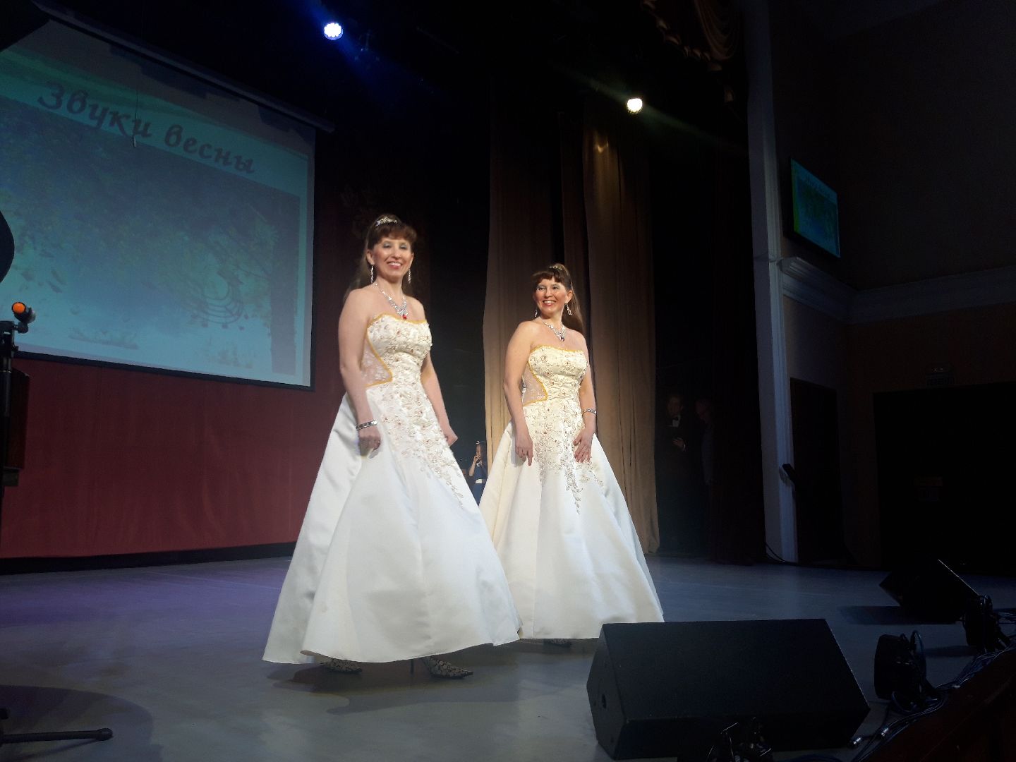 концерт, искусство, знаменитости,