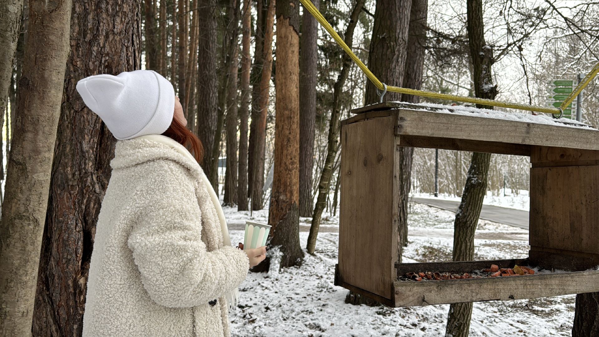 Одинцовский парк, Новогоднее украшение, Зима в подмосковье,вертикалка, вертикальное видео,