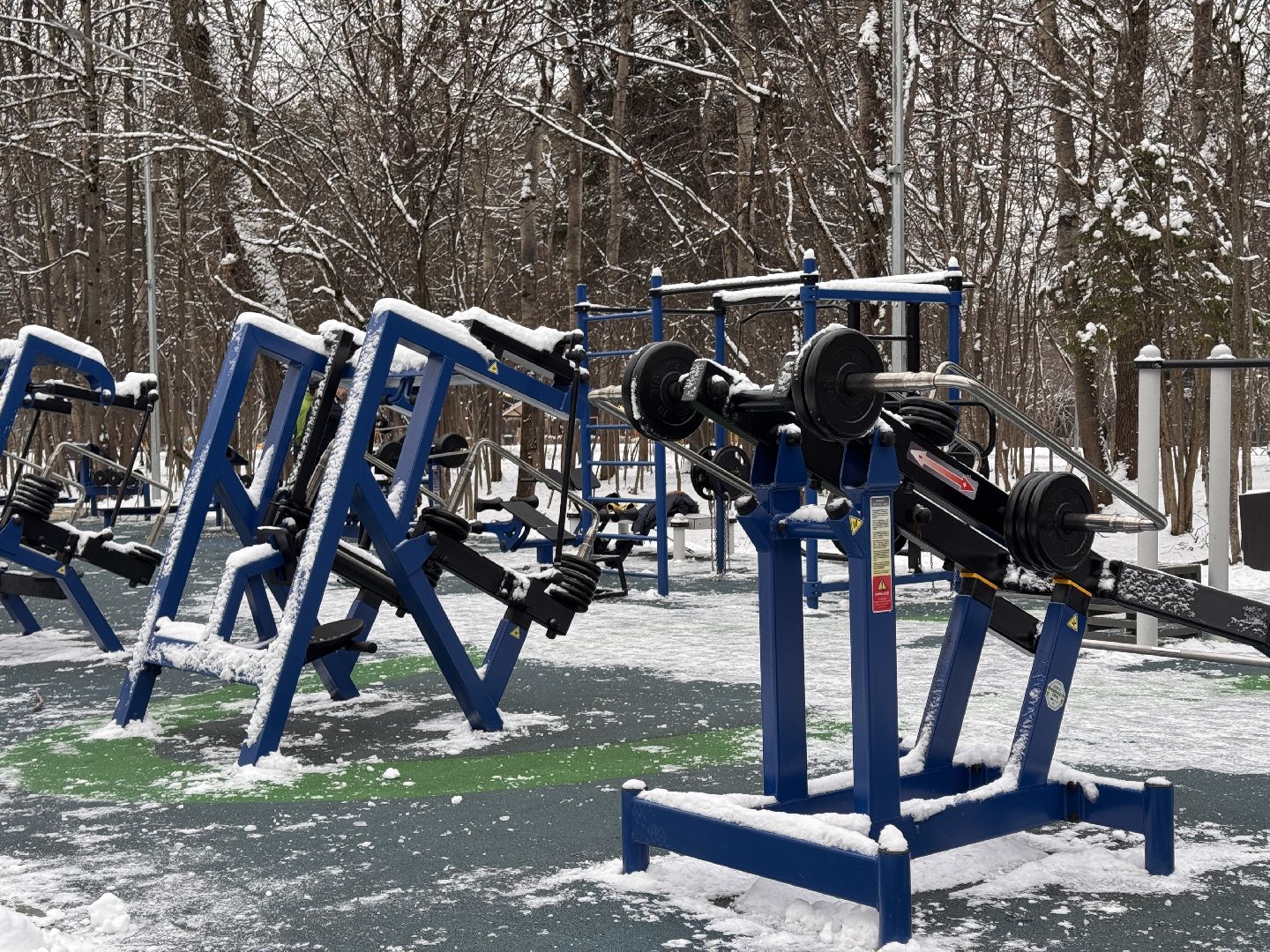 Одинцовский парк, Новогоднее украшение, Зима в подмосковье,вертикалка, вертикальное видео,