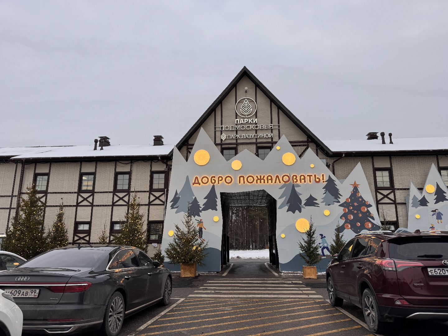 Одинцовский парк, Новогоднее украшение, Зима в подмосковье,вертикалка, вертикальное видео,