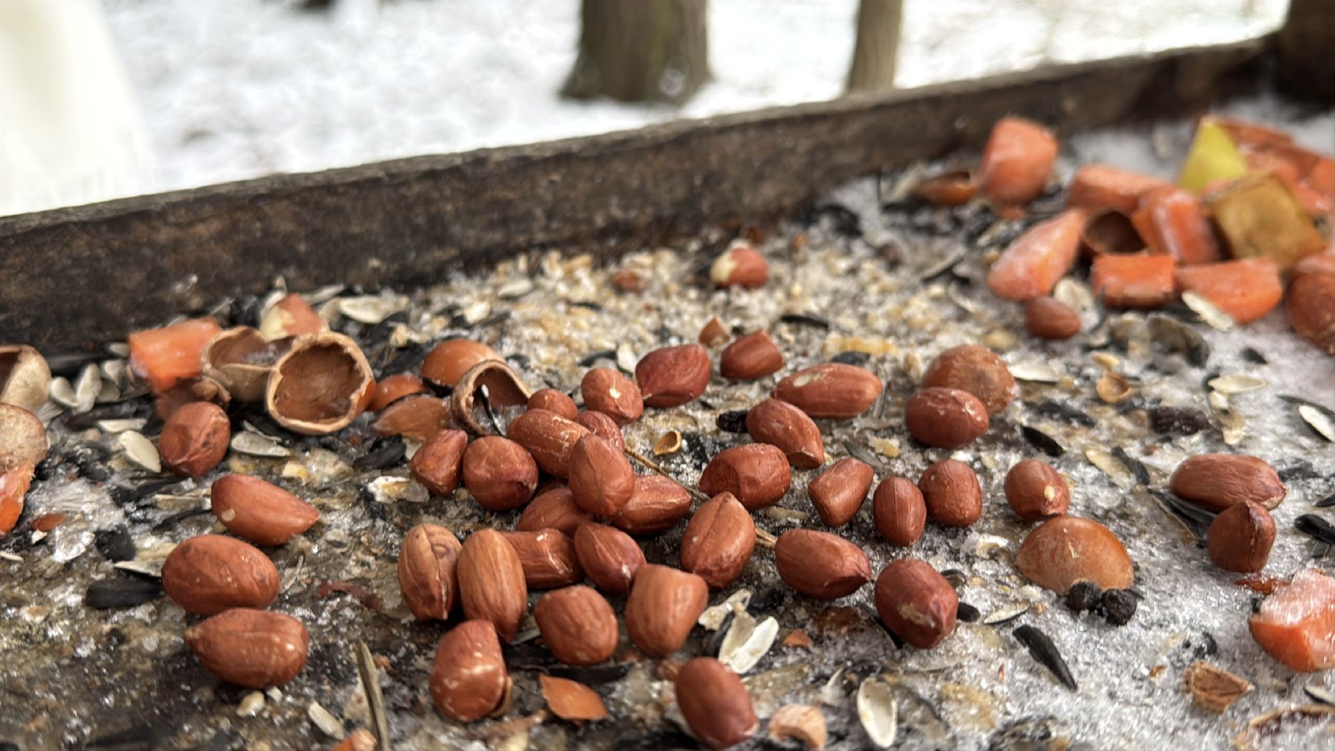 Одинцовский парк, Новогоднее украшение, Зима в подмосковье,вертикалка, вертикальное видео,