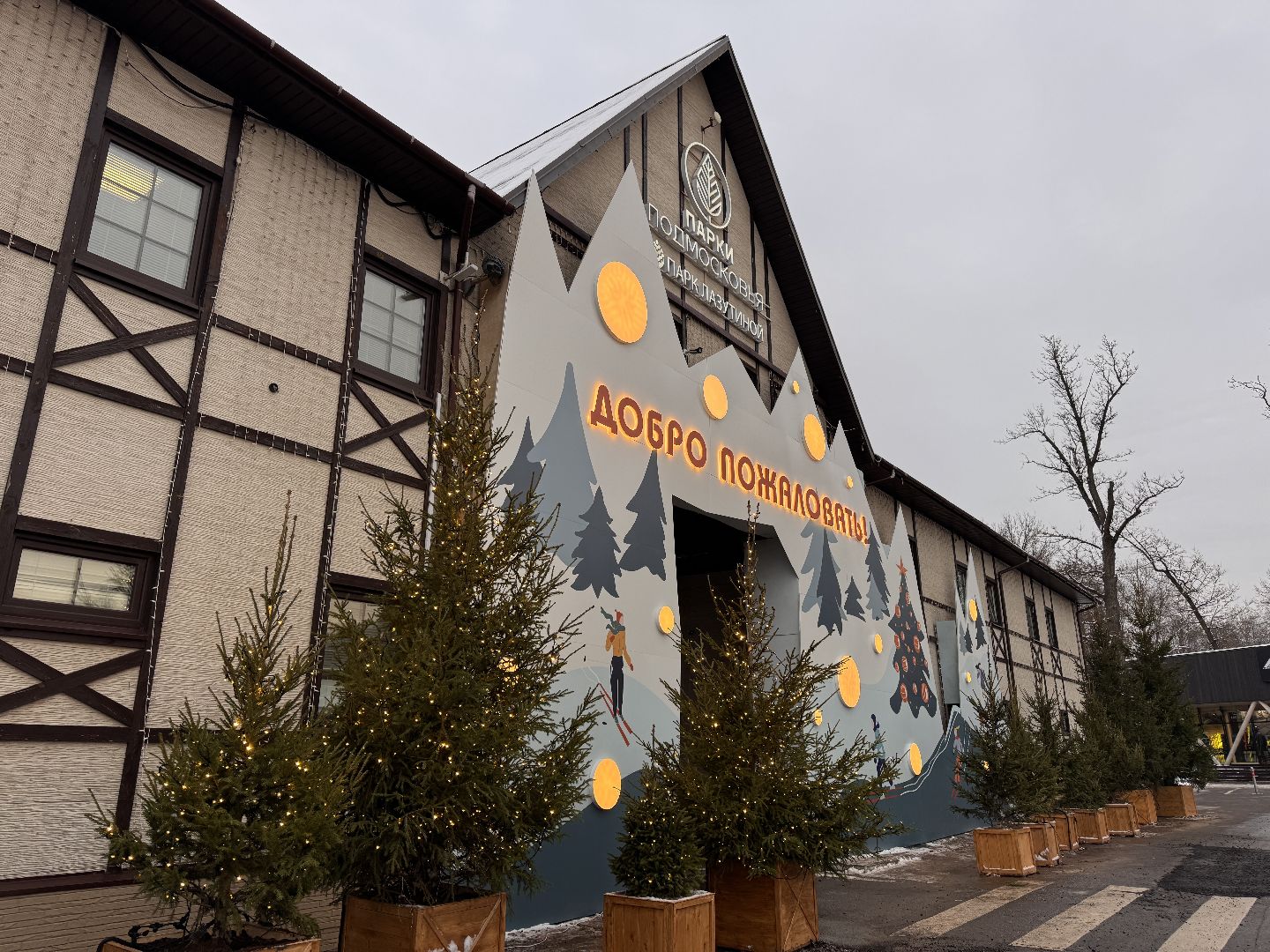 Одинцовский парк, Новогоднее украшение, Зима в подмосковье,вертикалка, вертикальное видео,