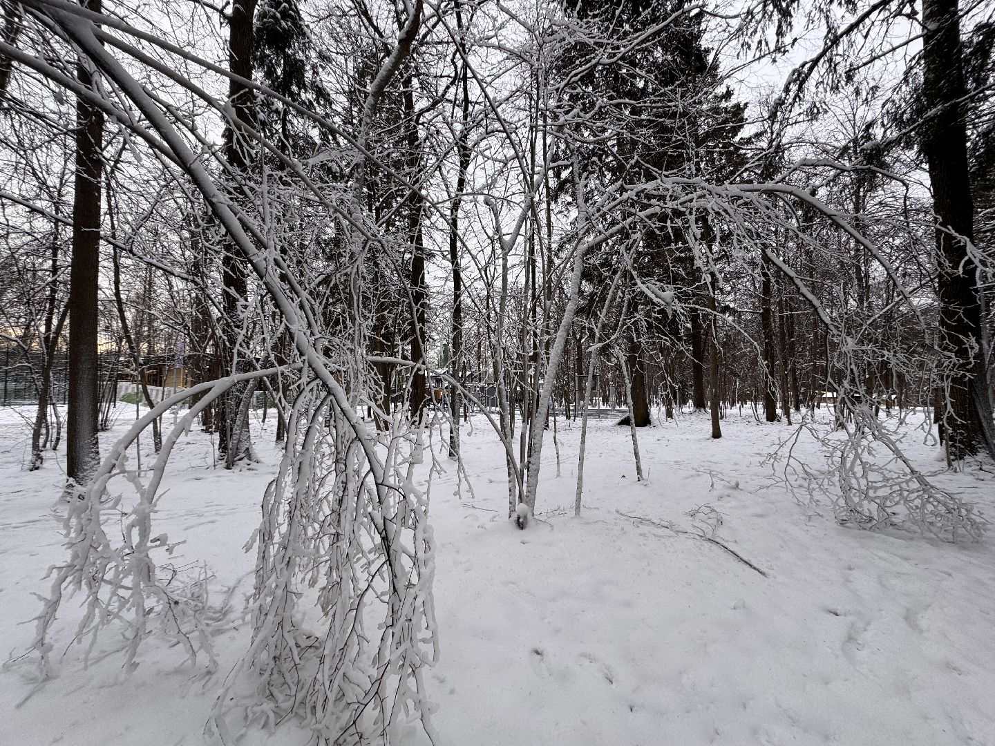Одинцовский парк, Новогоднее украшение, Зима в подмосковье,вертикалка, вертикальное видео,