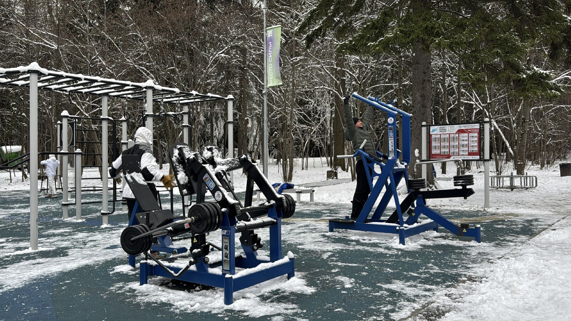 Одинцовский парк, Новогоднее украшение, Зима в подмосковье,вертикалка, вертикальное видео,