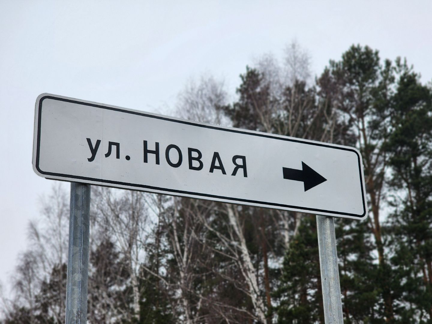 луховицы, благоустройство, матыра, вертикалка,