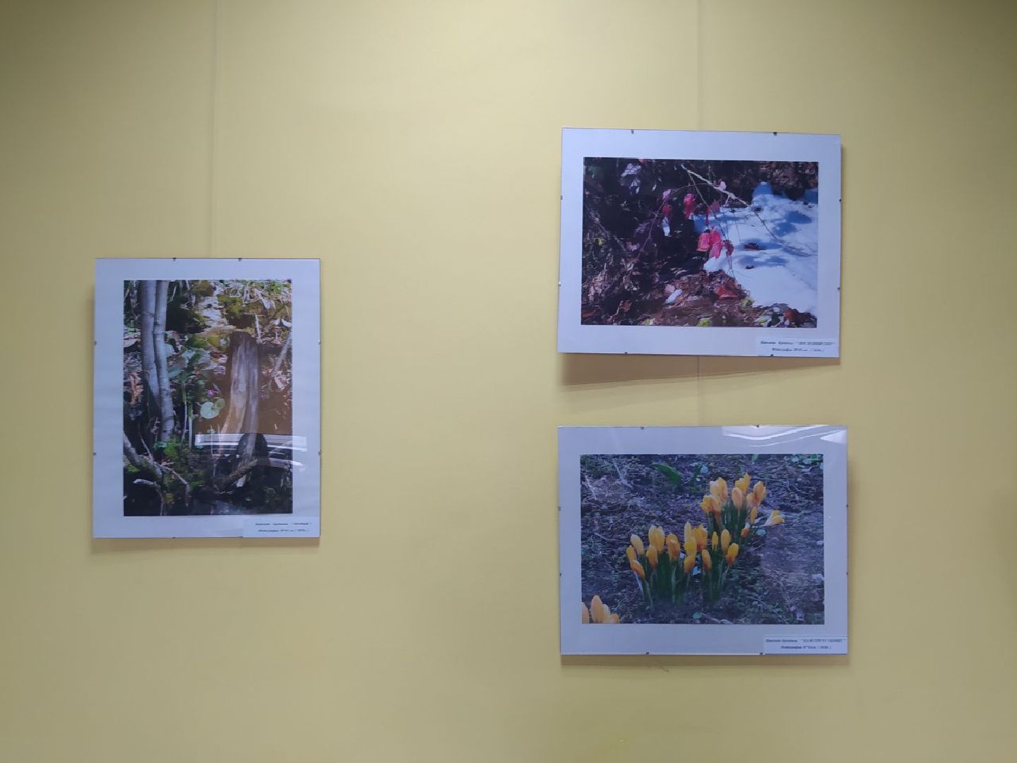 выставка, Дедовск, художники, весна