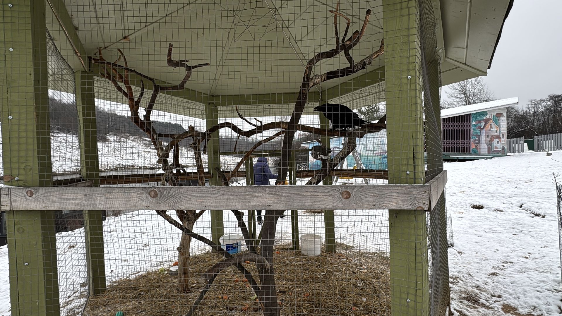 Клевое место, Ромашково, маленькая Голландия, туризм в подмосковье,