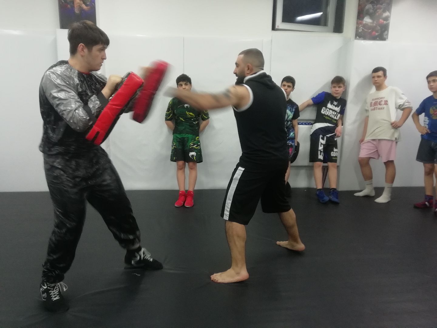 Звенигород, единоборства, всестилевое каратэ, Первенство Мира, Первенство России, спортсмены из Звенигорода