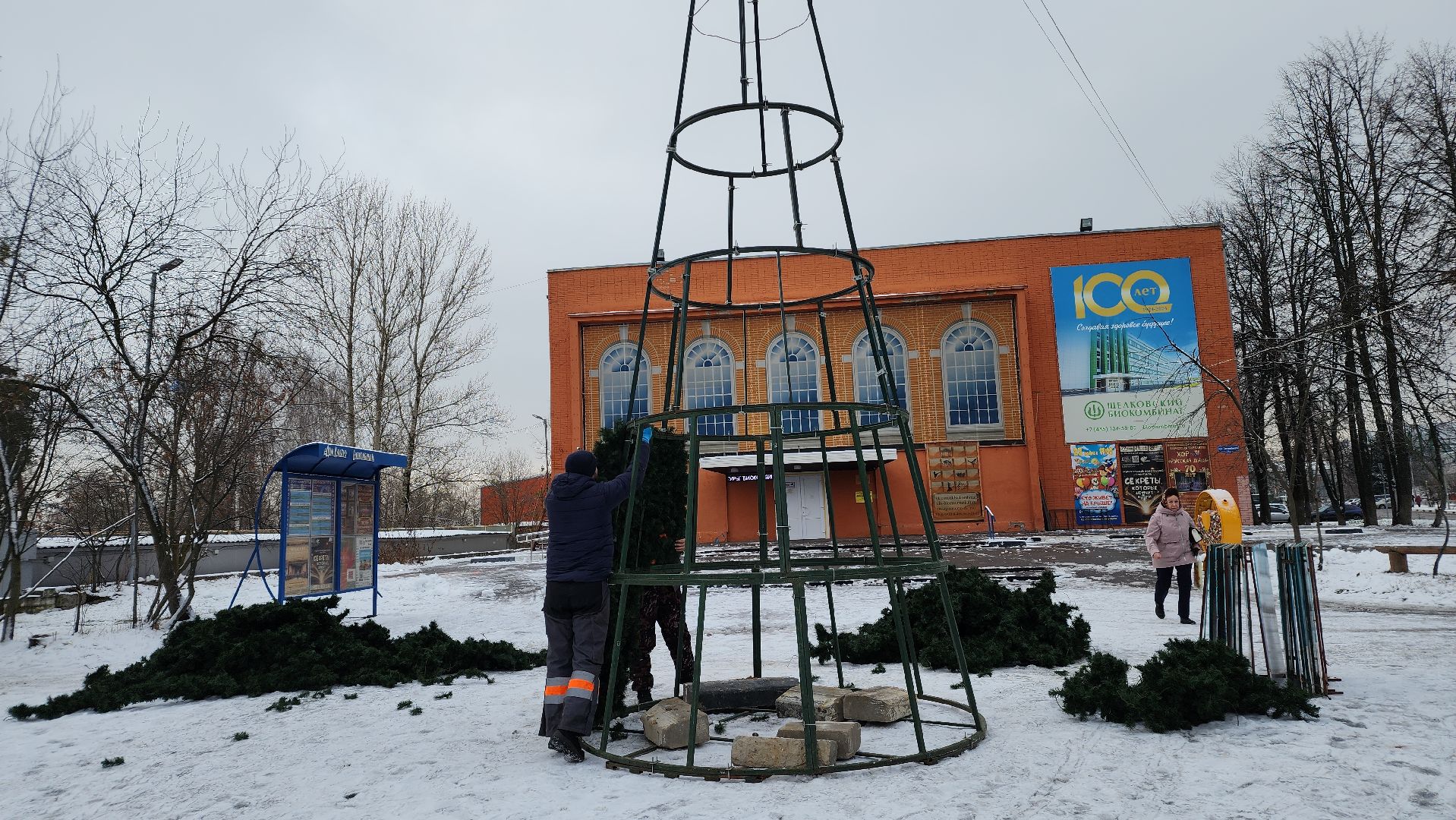 Новый год, праздник, зима в Подмосковье, Лосино-Петровский, вертикалки,