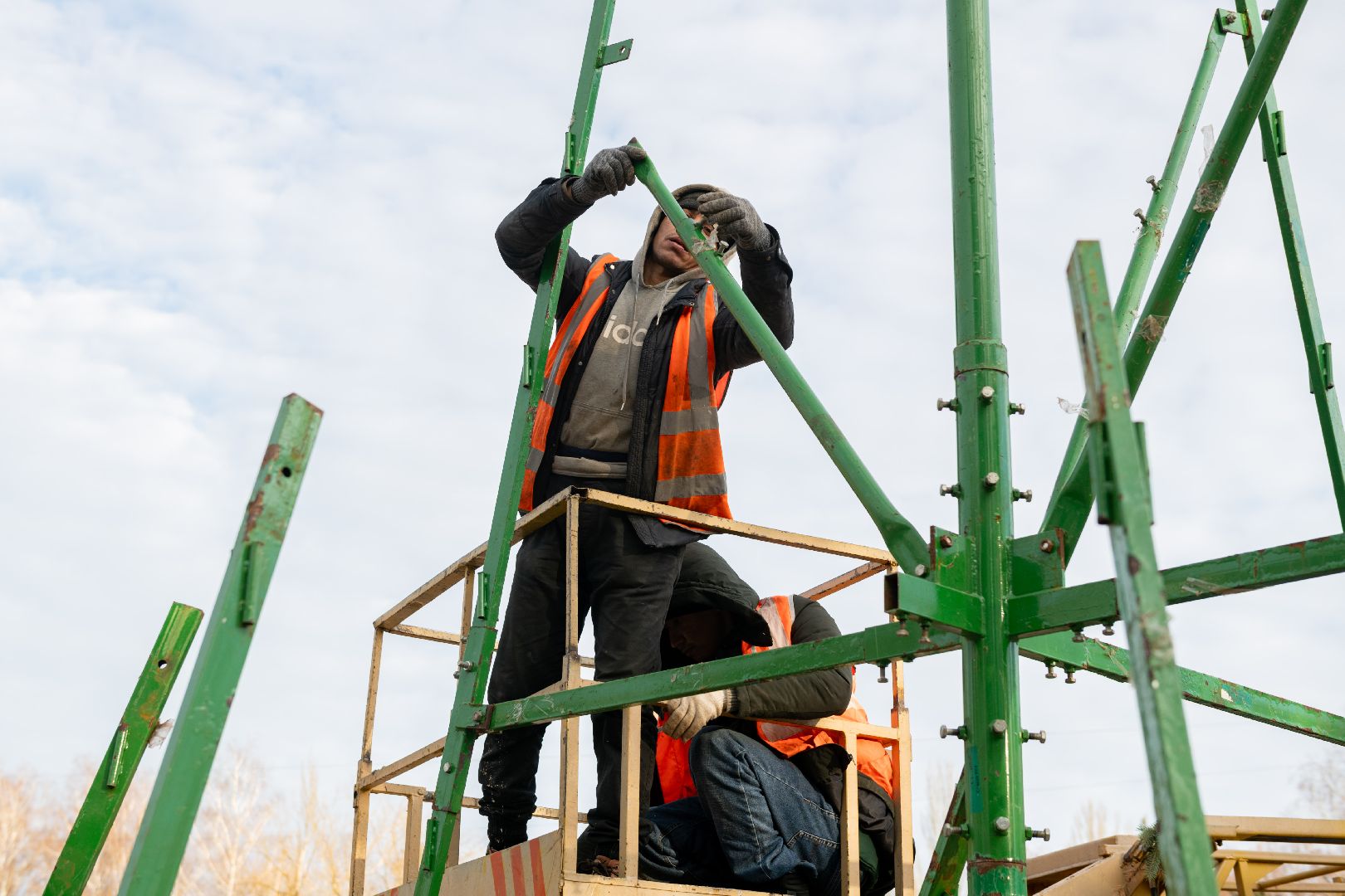 лыткарино, новогодняя ель, новогодняя елка, вертикалки,