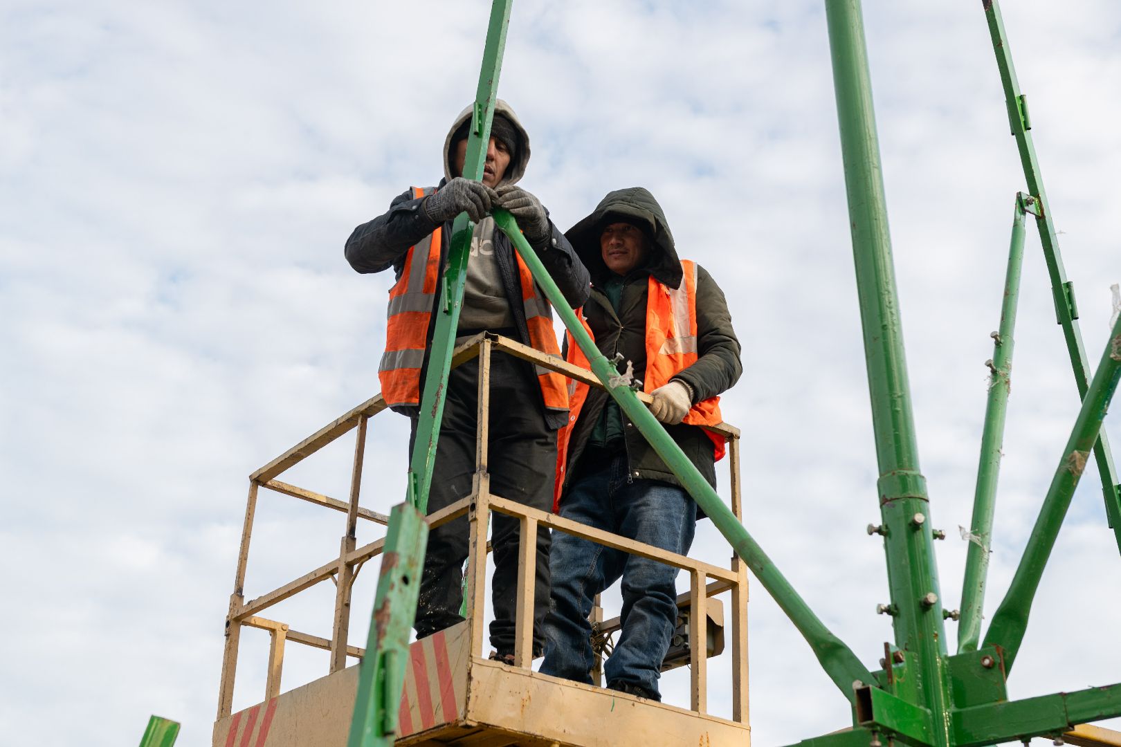 лыткарино, новогодняя ель, новогодняя елка, вертикалки,