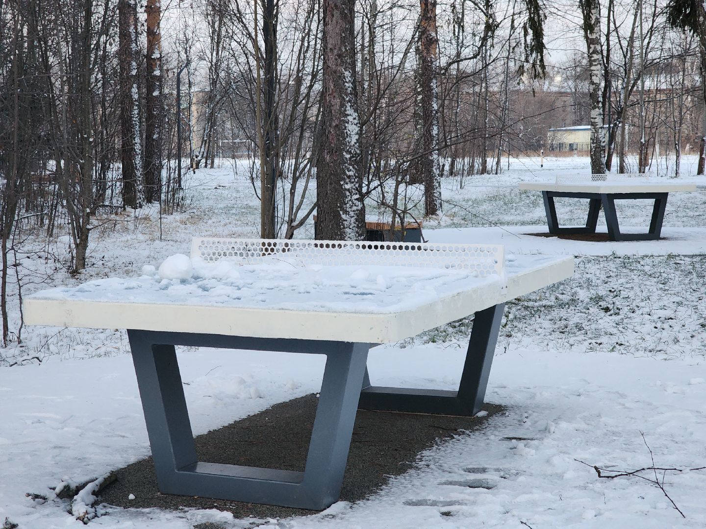 черноголовка, благоустройство, южное озеро,