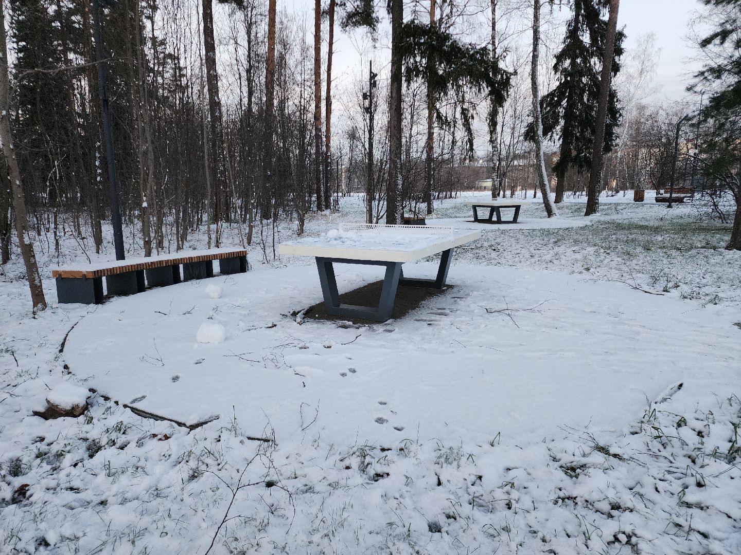 черноголовка, благоустройство, южное озеро,