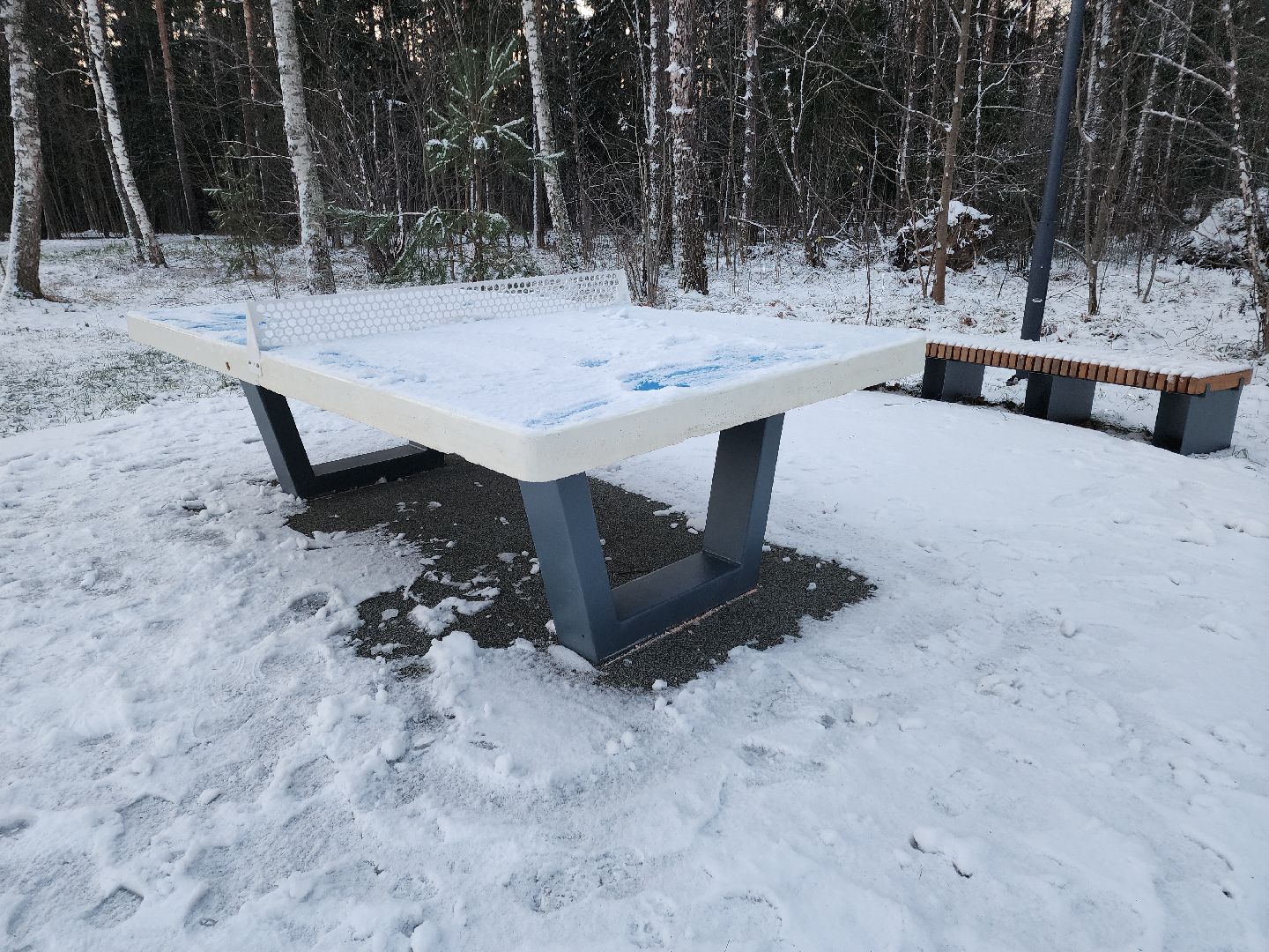 черноголовка, благоустройство, южное озеро,