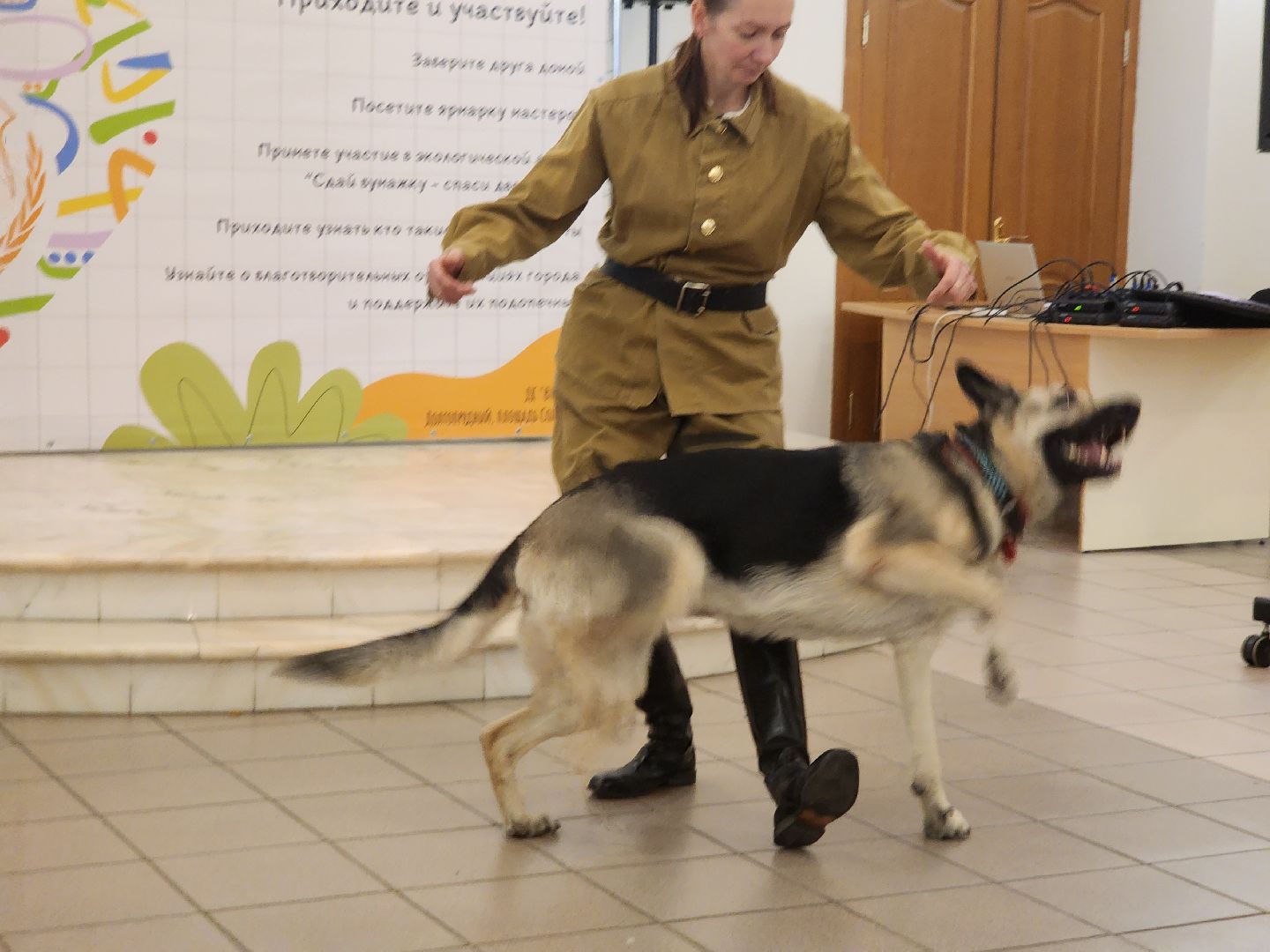 долгопрудный, Город Добра, Х-легион, кинологи, сво, макулатура,