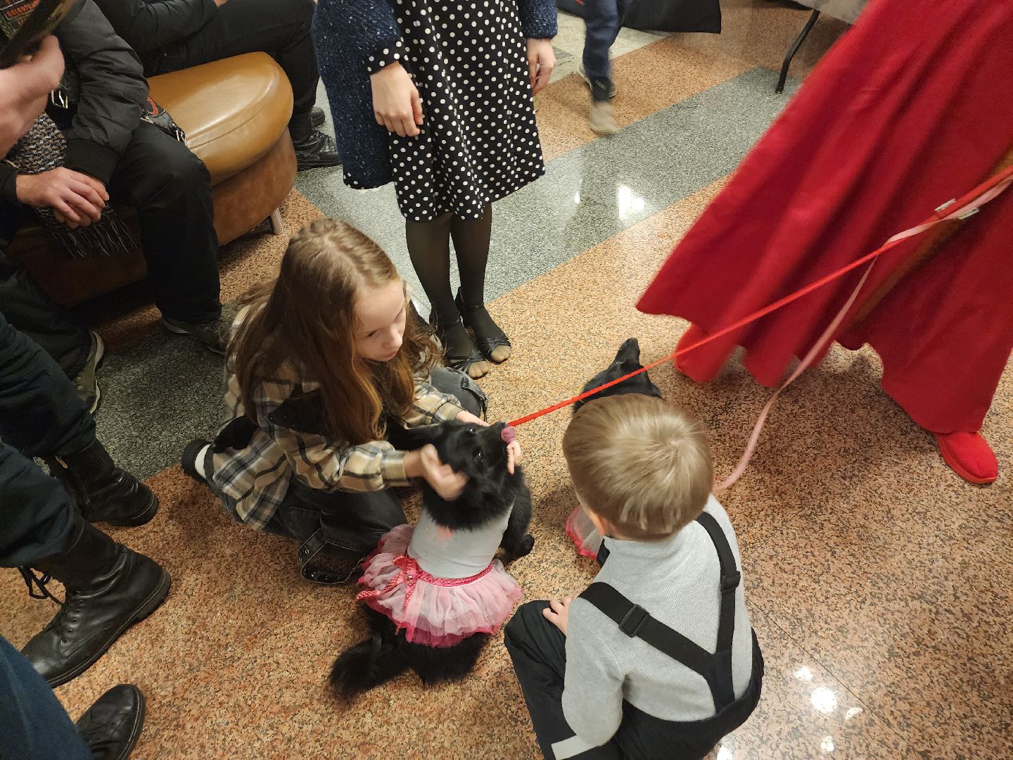 долгопрудный, Город Добра, Х-легион, кинологи, сво, макулатура,