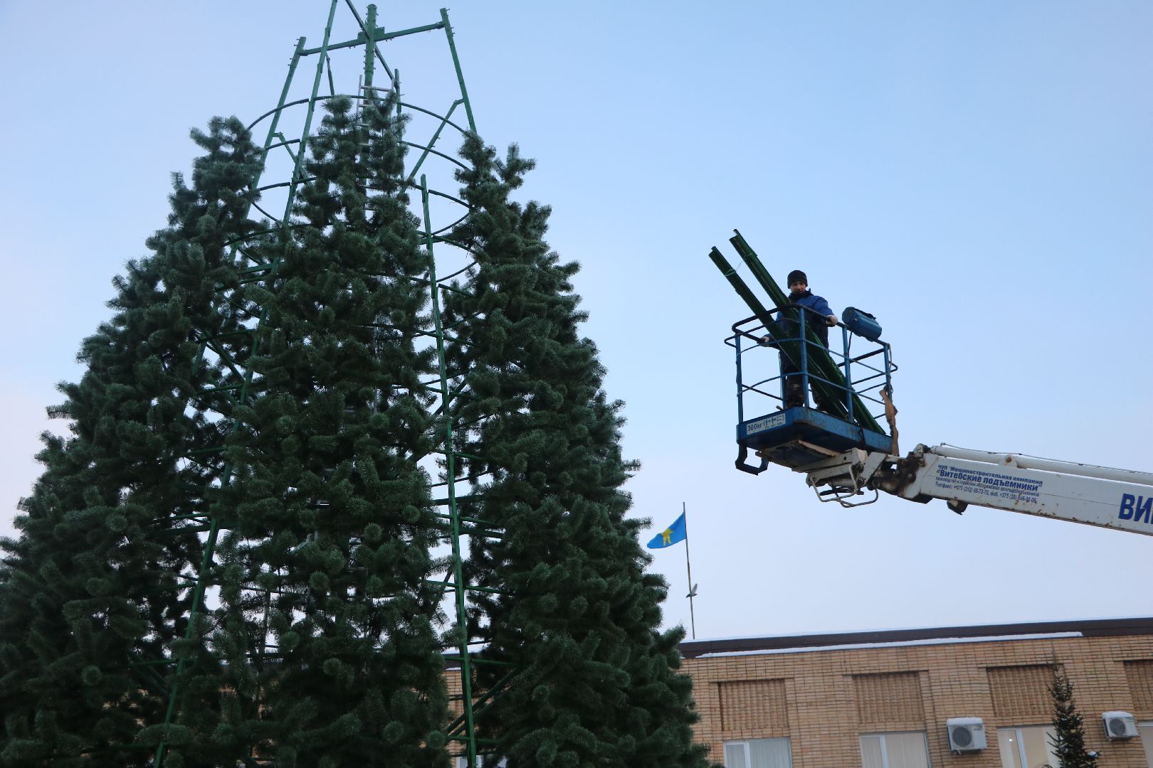 лотошино, ёлка, вертикалки,