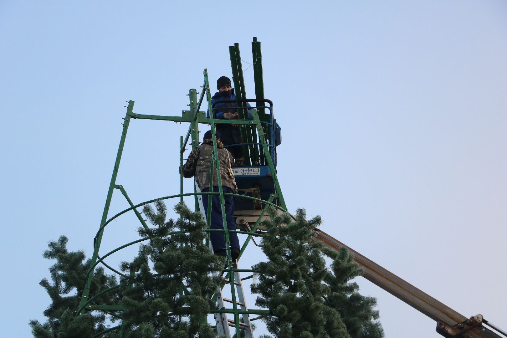 лотошино, ёлка, вертикалки,