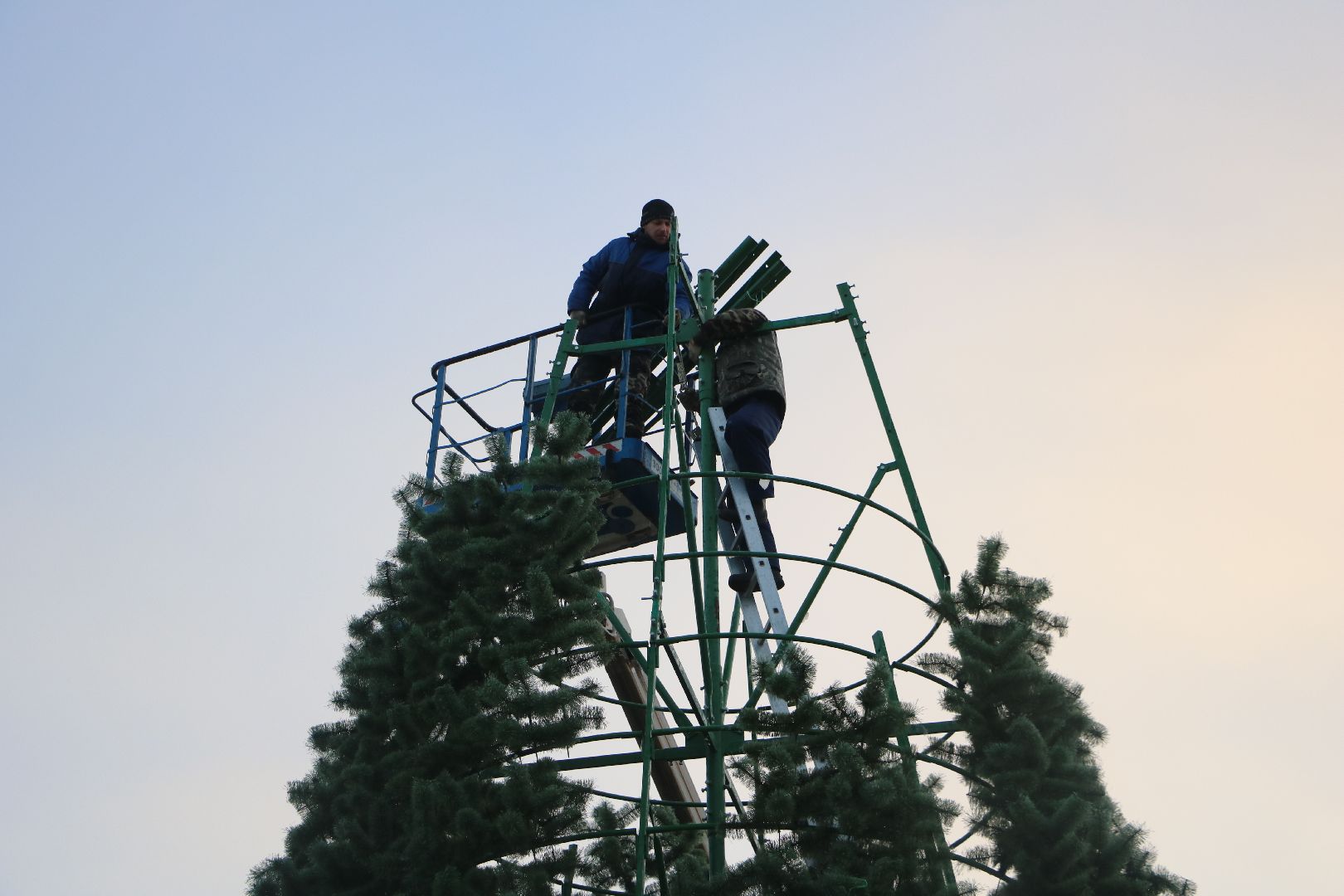 лотошино, ёлка, вертикалки,