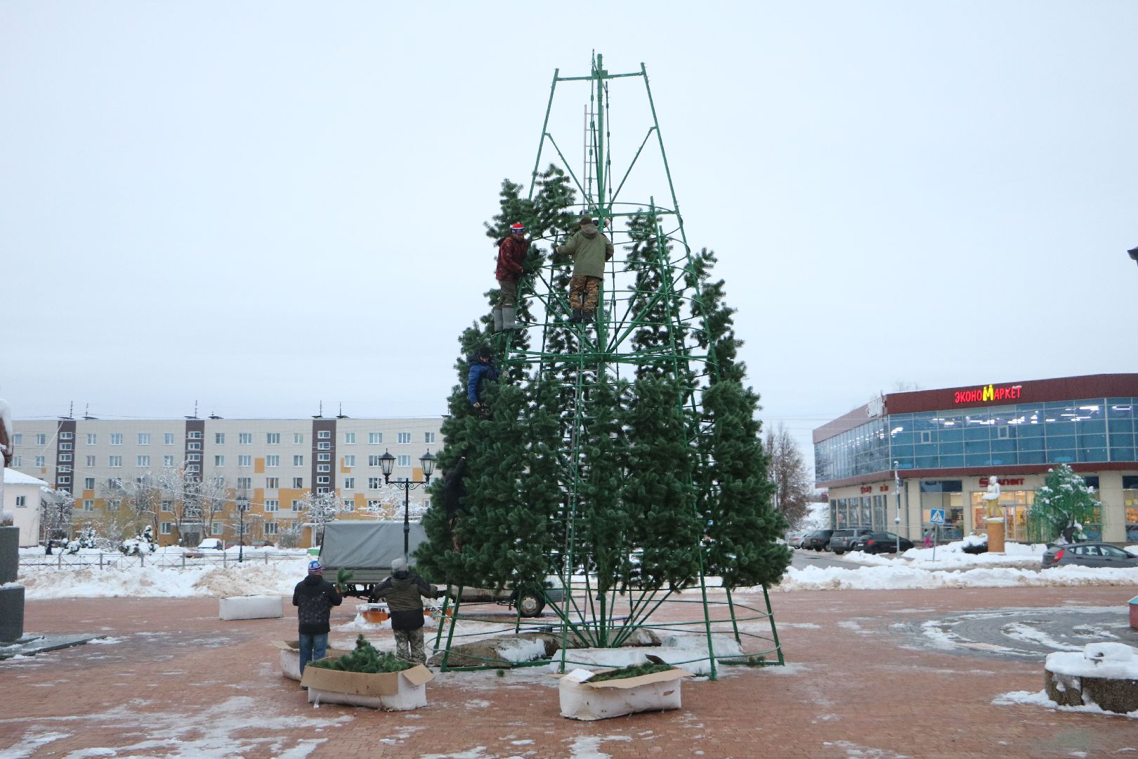 лотошино, ёлка, вертикалки,