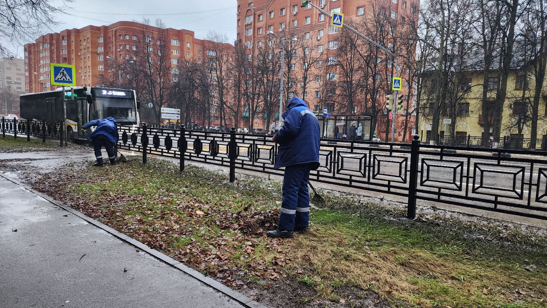 Домодедово, Подмосковье, Листва, уборка дворов осенью, Уборка листвы, Благоустройство, ЖКХ, коммунальная служба, вертикалки,