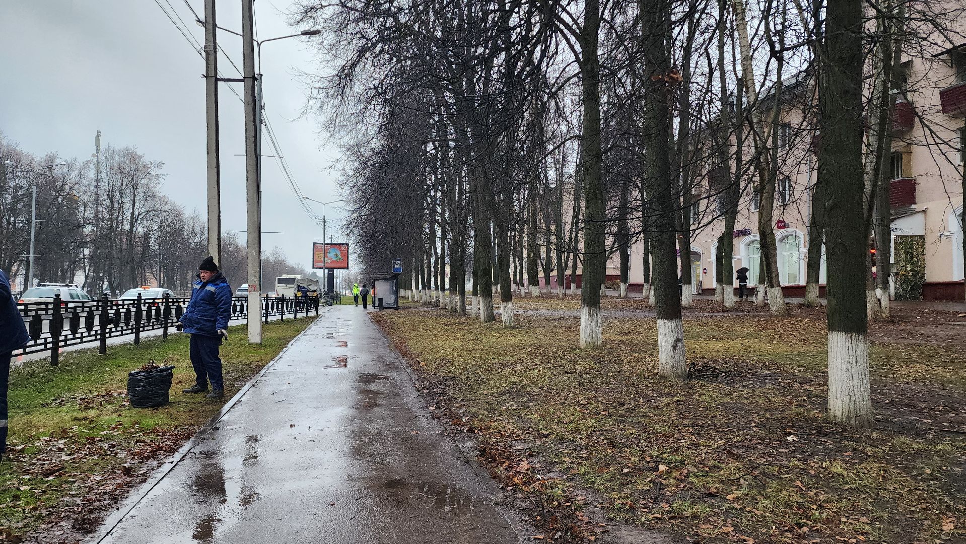 Домодедово, Подмосковье, Листва, уборка дворов осенью, Уборка листвы, Благоустройство, ЖКХ, коммунальная служба, вертикалки,