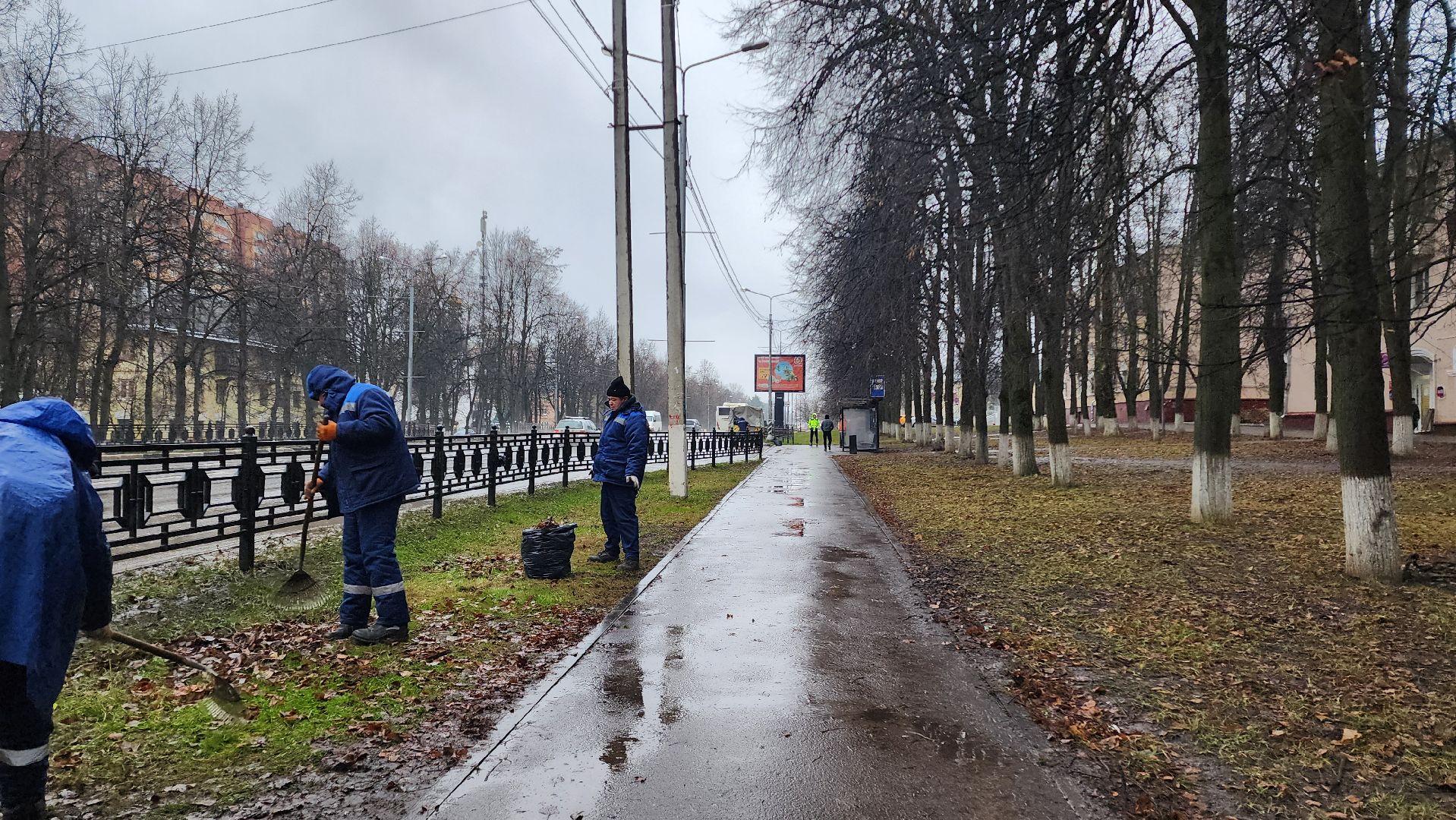 Домодедово, Подмосковье, Листва, уборка дворов осенью, Уборка листвы, Благоустройство, ЖКХ, коммунальная служба, вертикалки,