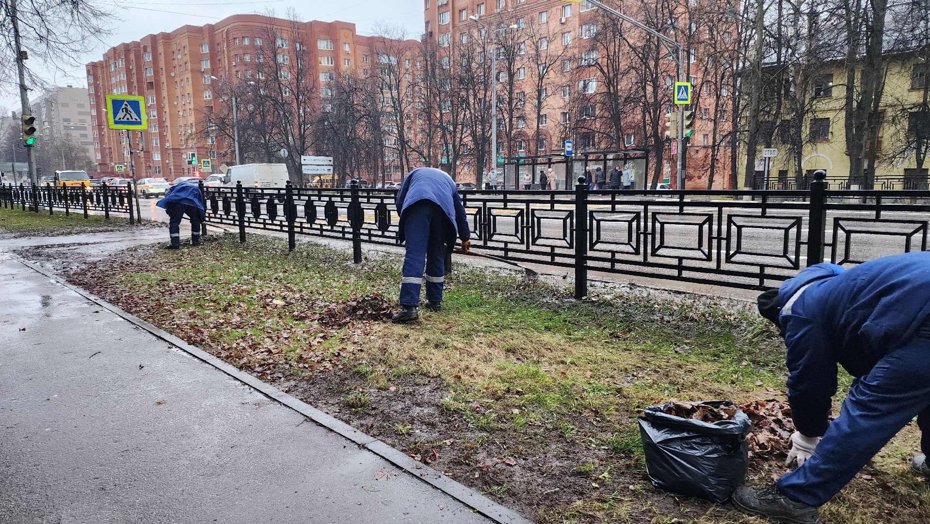 Домодедово, Подмосковье, Листва, уборка дворов осенью, Уборка листвы, Благоустройство, ЖКХ, коммунальная служба, вертикалки,