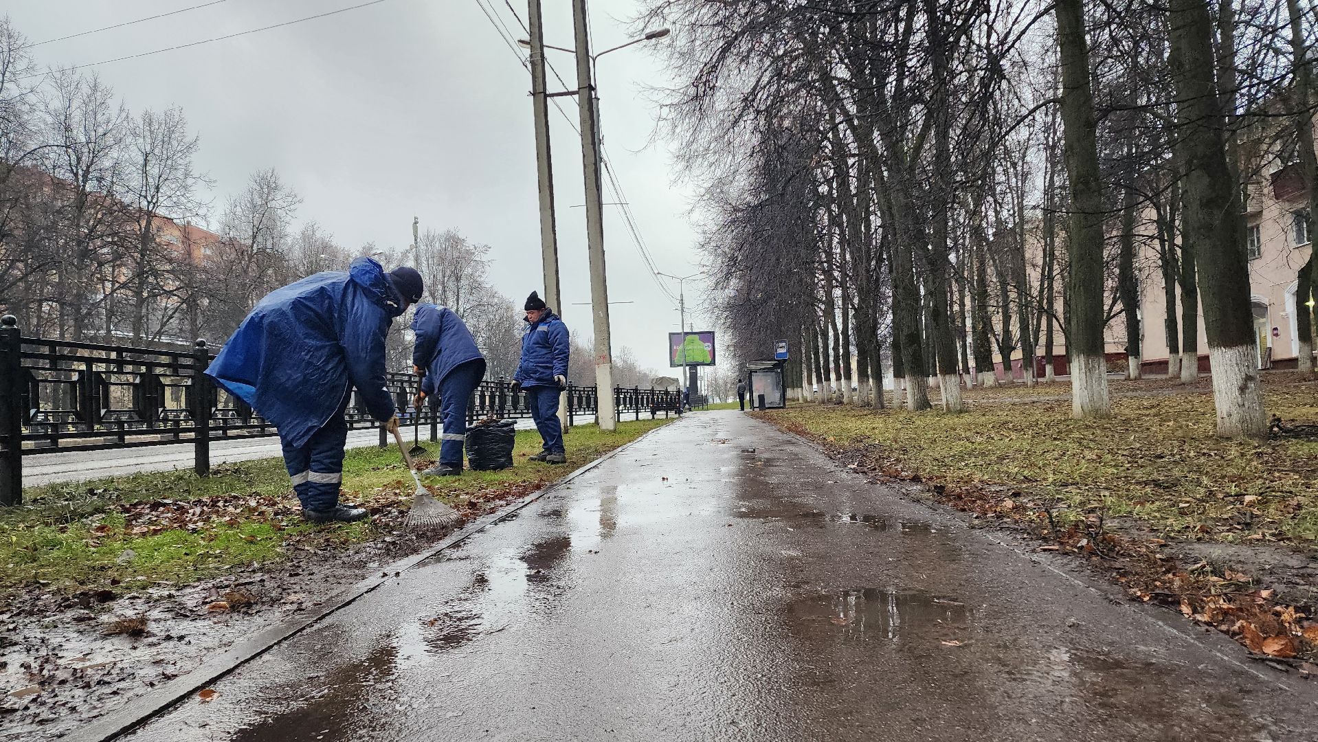 Домодедово, Подмосковье, Листва, уборка дворов осенью, Уборка листвы, Благоустройство, ЖКХ, коммунальная служба, вертикалки,