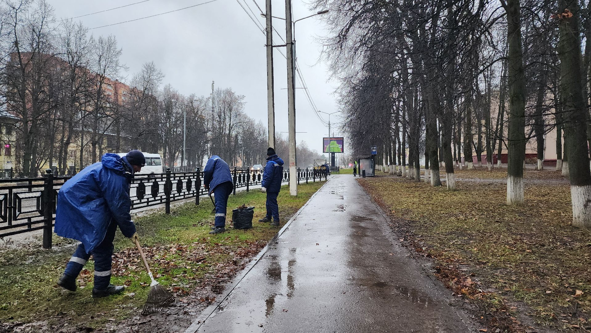 Домодедово, Подмосковье, Листва, уборка дворов осенью, Уборка листвы, Благоустройство, ЖКХ, коммунальная служба, вертикалки,