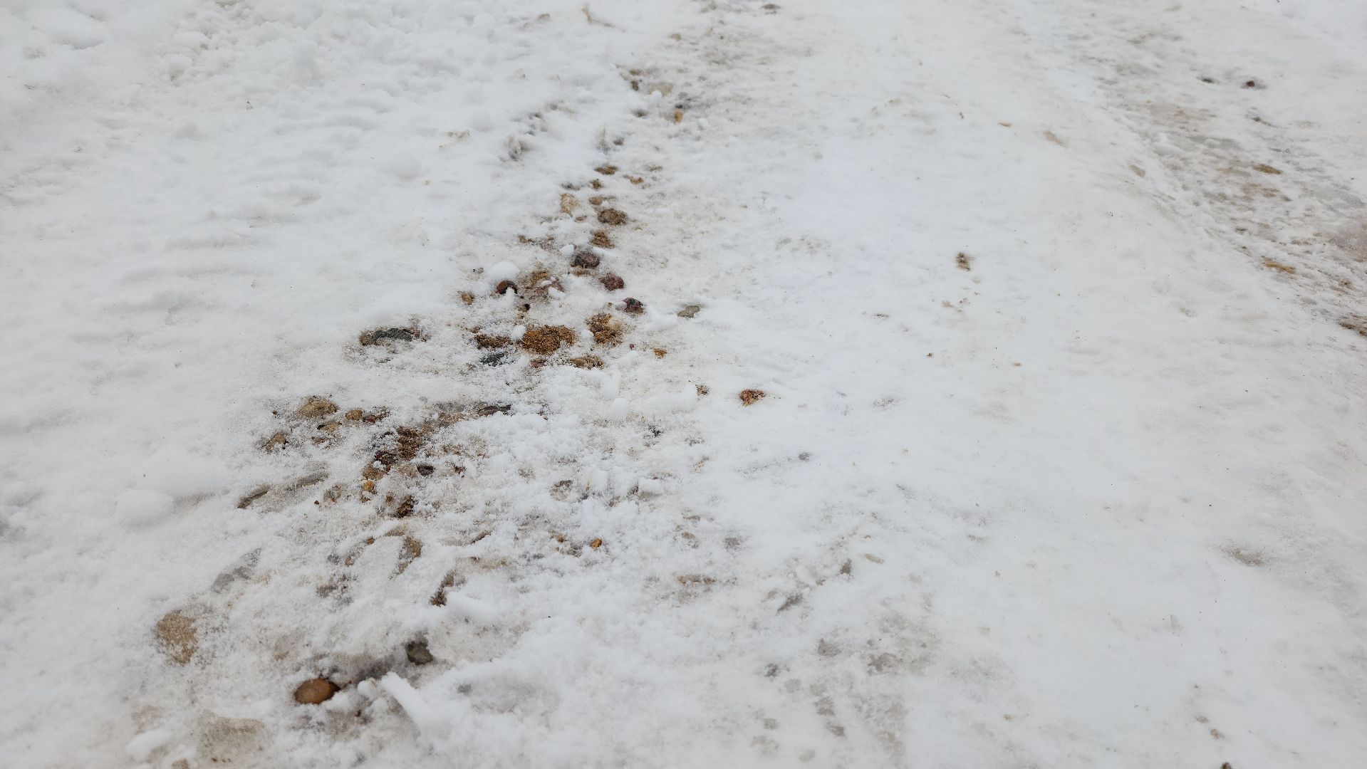 волоколамск, выездная администрация, дорога,