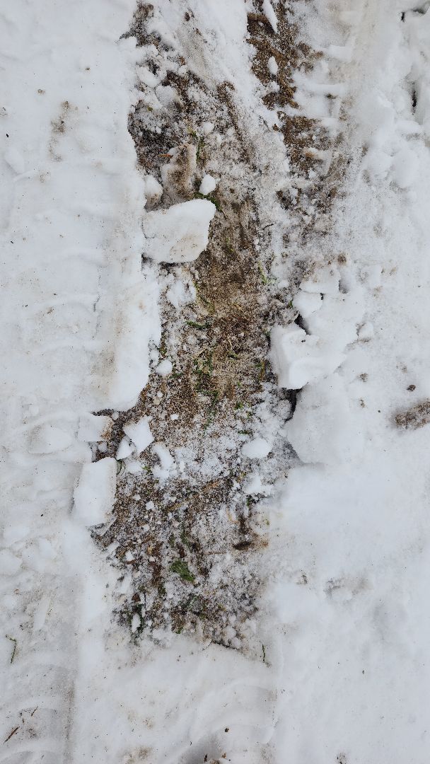 волоколамск, выездная администрация, дорога,