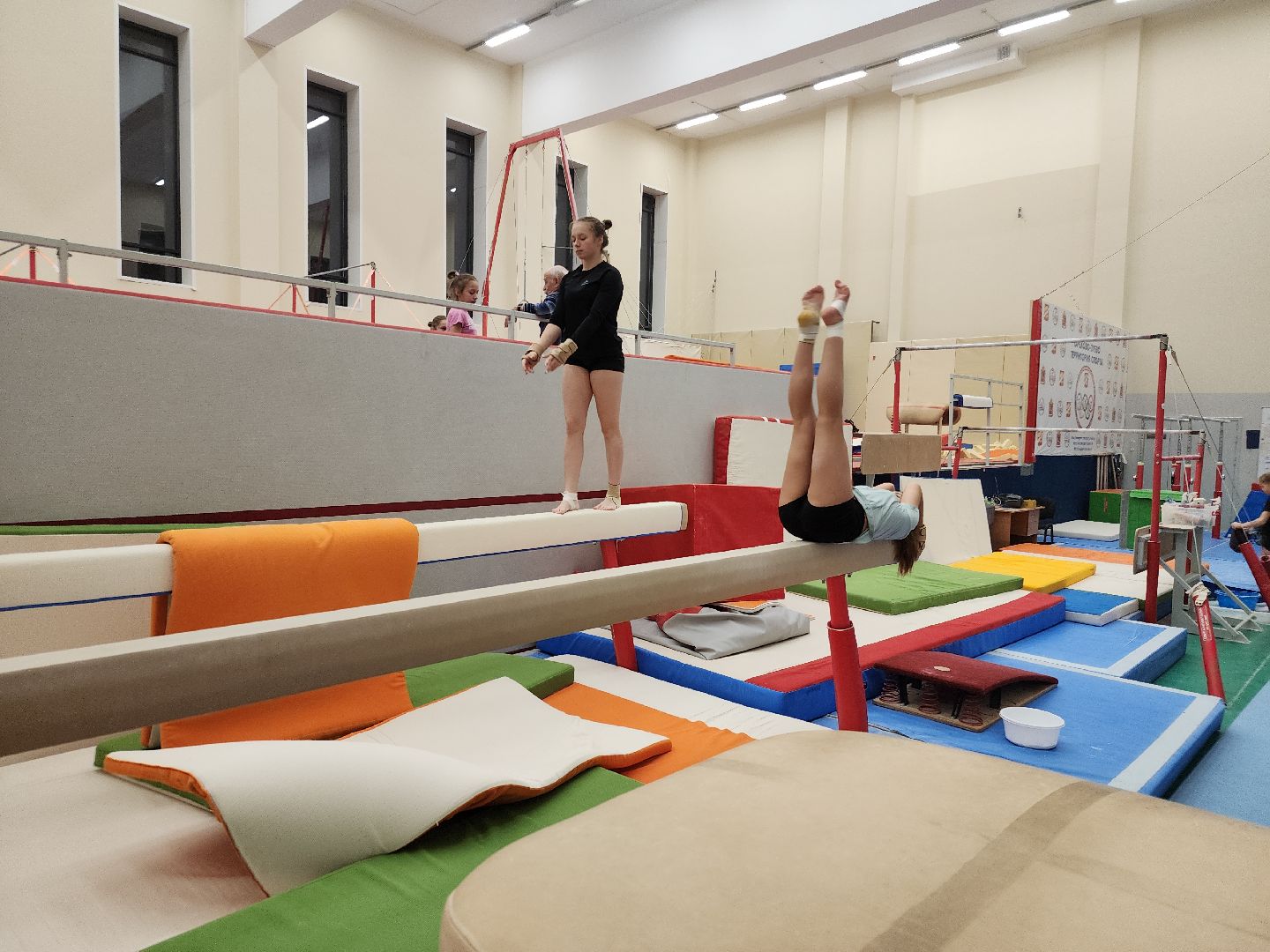 орден за заслуги, спортивная гимнастика, орехово зуево,тренер, вертикалки,