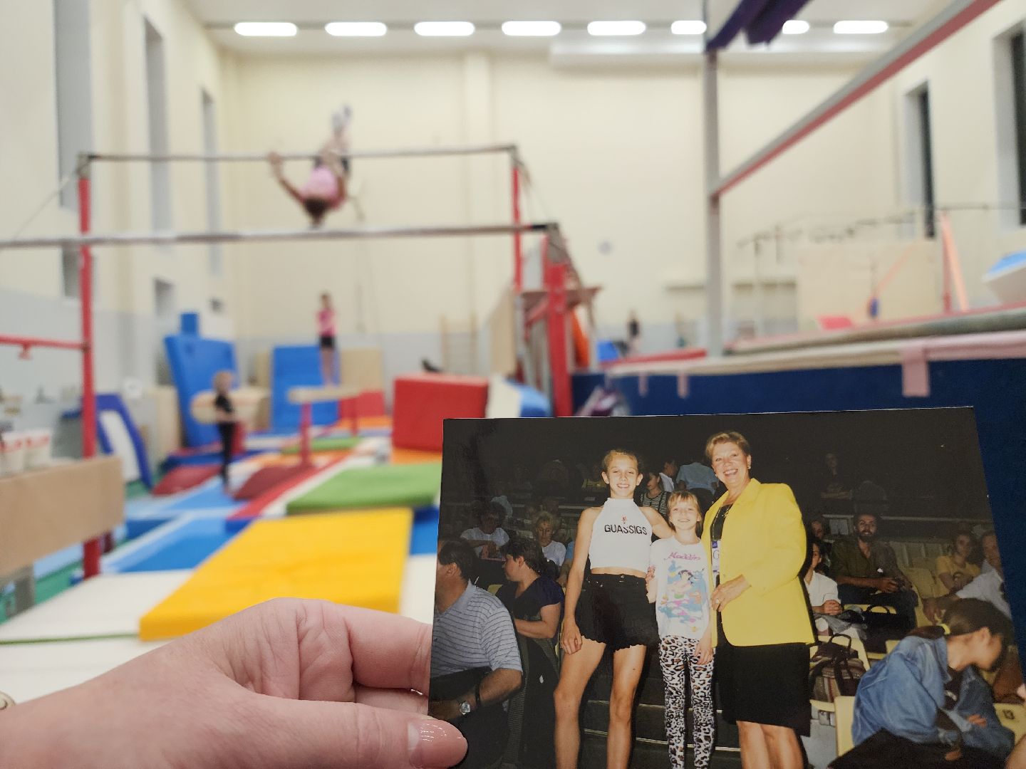 орден за заслуги, спортивная гимнастика, орехово зуево,тренер, вертикалки,