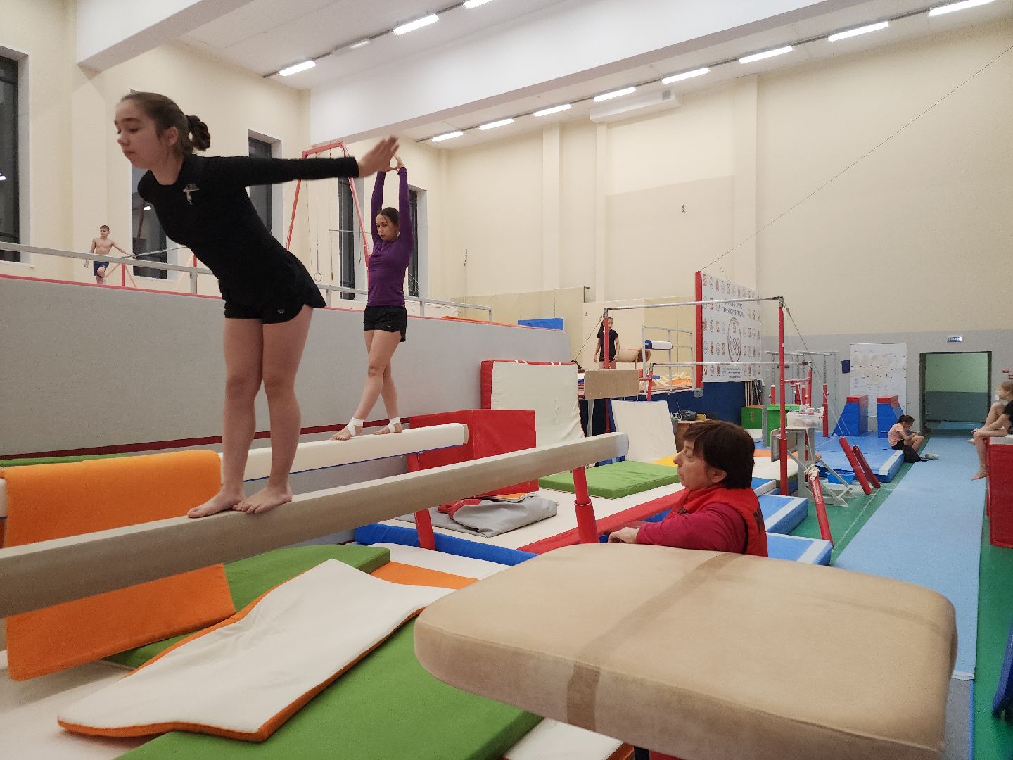 орден за заслуги, спортивная гимнастика, орехово зуево,тренер, вертикалки,