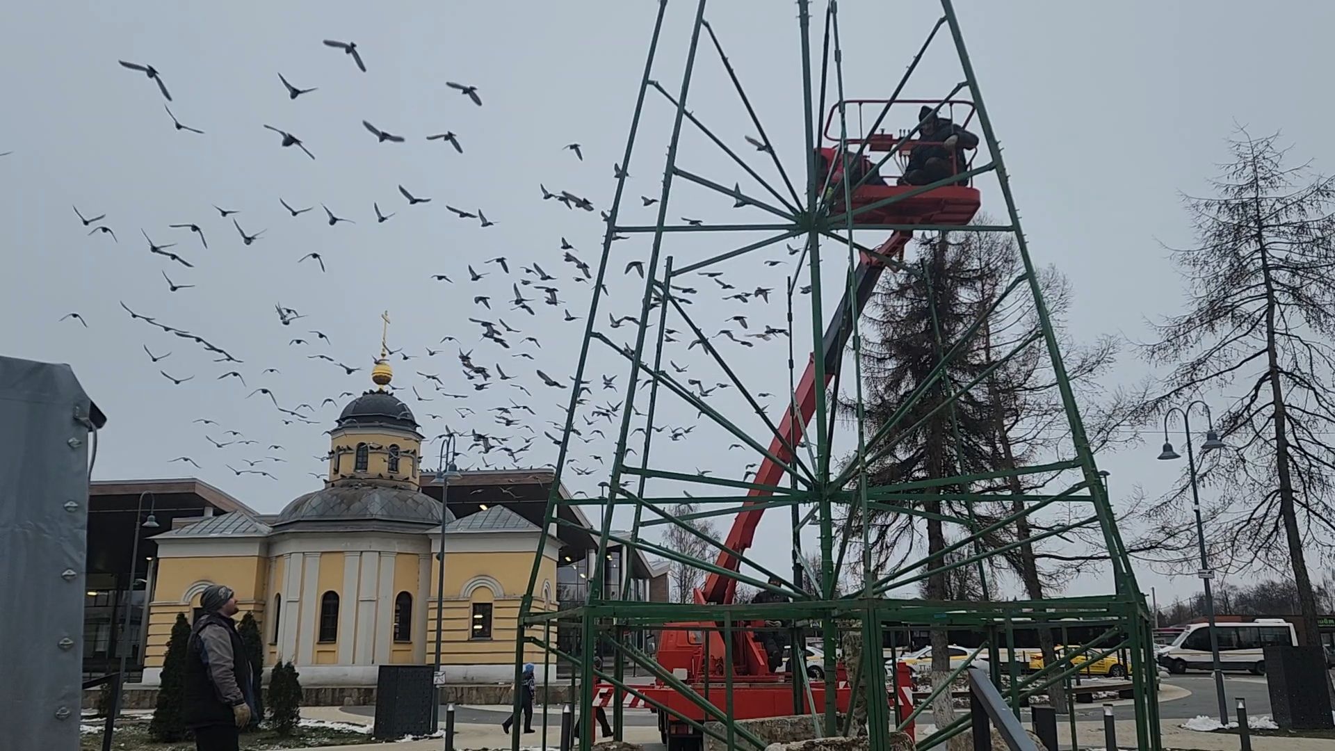 Бронницы, Подготовка к новому году, Установка елки, Благоустройство, Вертикалка, Вертикальное видео,