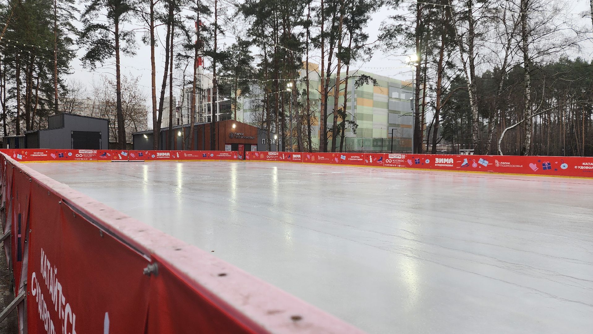 Зима в Подмосковье, Домодедово, Прокат коньков, Искусственный лед, Парк Елочки, Открытие катка, Центральный парк, вертикалки,