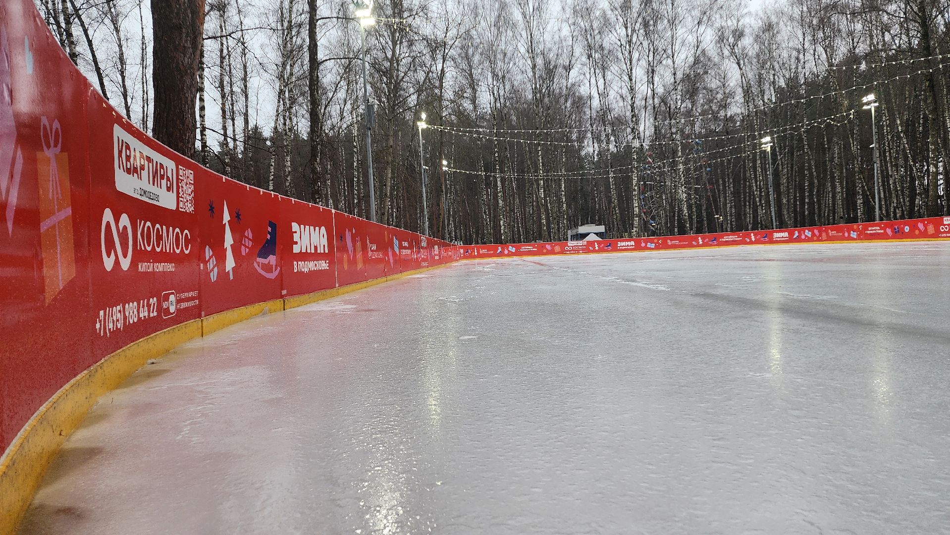 Зима в Подмосковье, Домодедово, Прокат коньков, Искусственный лед, Парк Елочки, Открытие катка, Центральный парк, вертикалки,