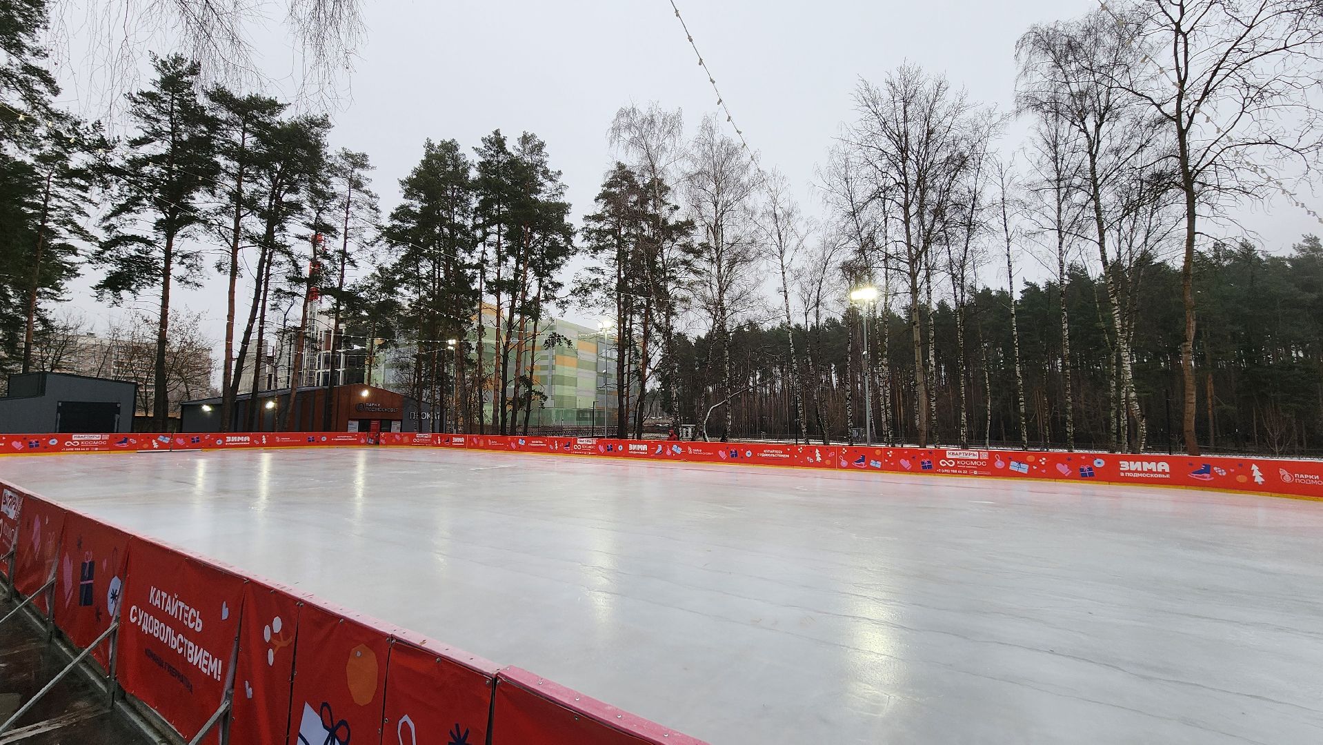 Зима в Подмосковье, Домодедово, Прокат коньков, Искусственный лед, Парк Елочки, Открытие катка, Центральный парк, вертикалки,