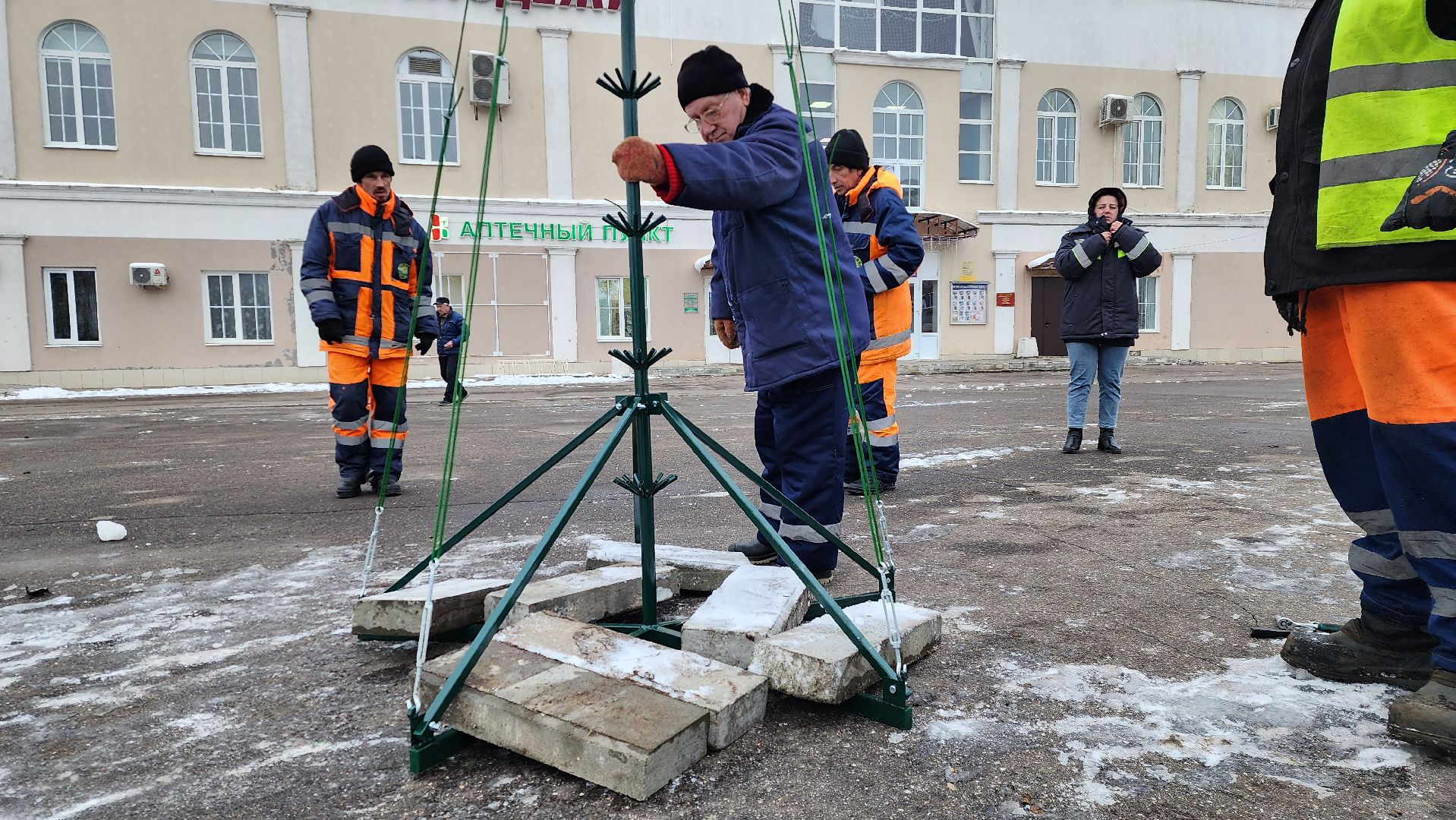 новогодняя ель, истра, установка елки, вертикалки,
