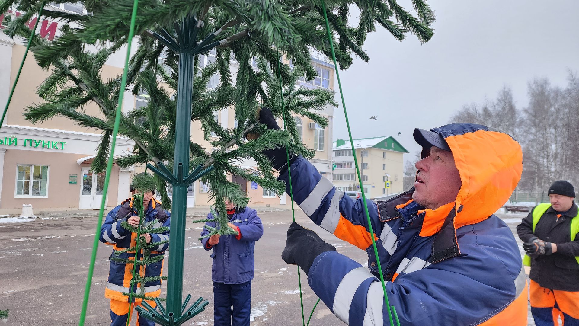 новогодняя ель, истра, установка елки, вертикалки,