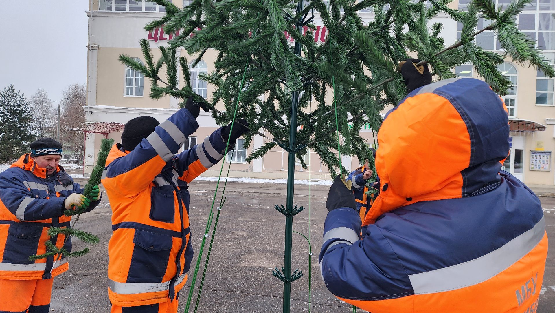 новогодняя ель, истра, установка елки, вертикалки,