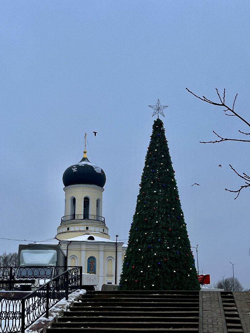вертикальное видео, наро-фоминск, наро-фоминский городской округ, новый год, елка,вертикалка