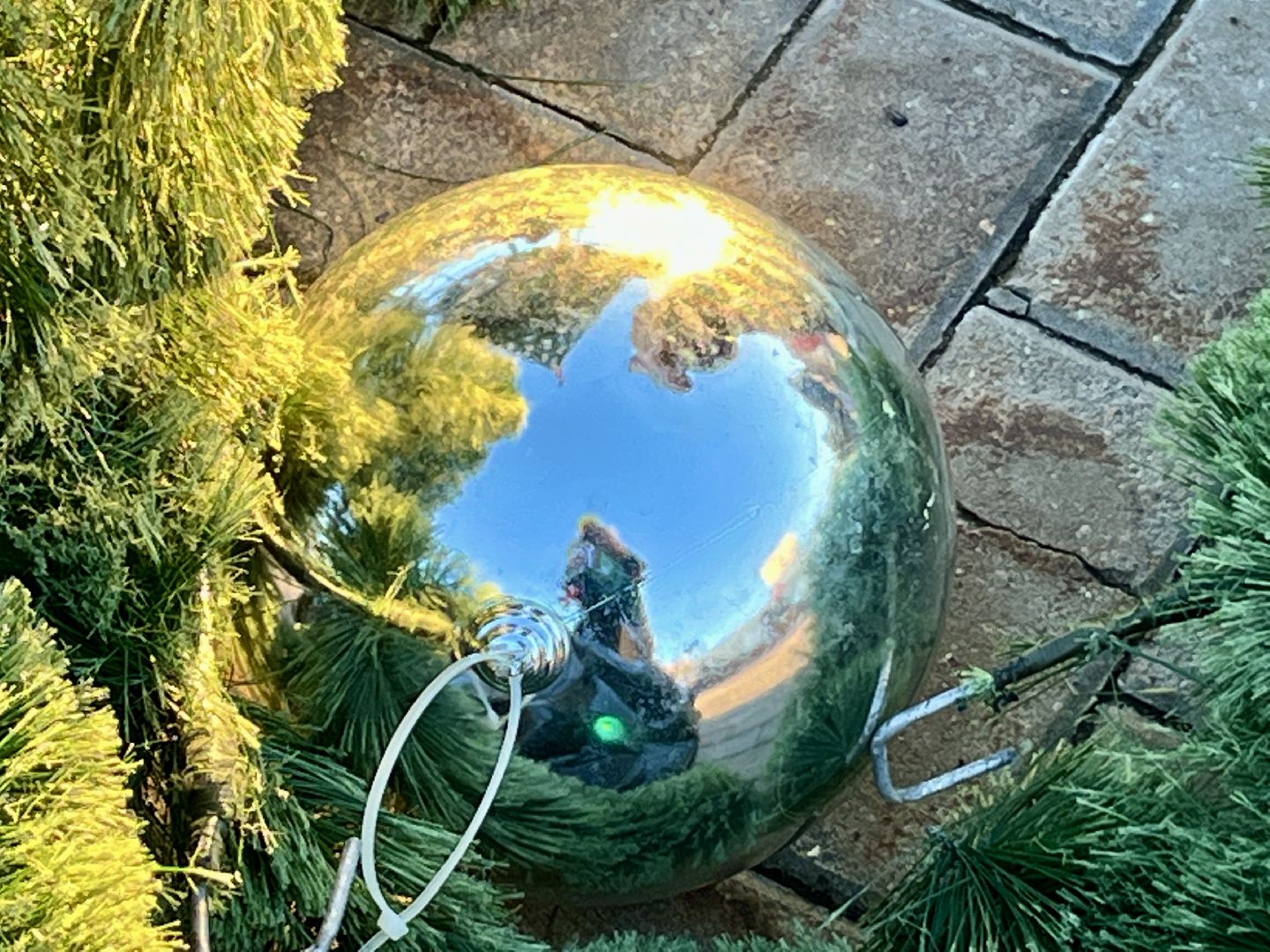 вертикальное видео, наро-фоминск, наро-фоминский городской округ, новый год, елка,вертикалка