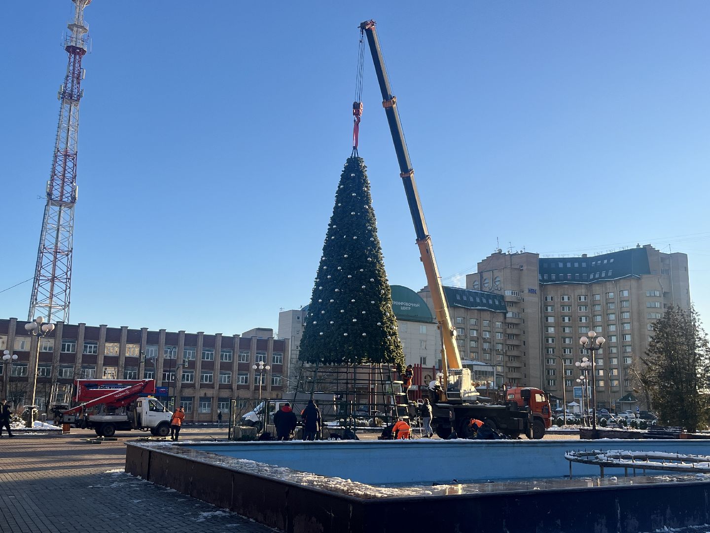 вертикальное видео, наро-фоминск, наро-фоминский городской округ, новый год, елка,вертикалка